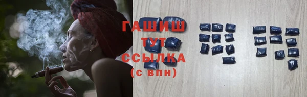 индика Арсеньев
