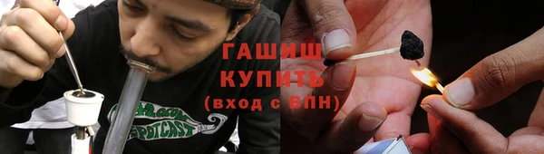 индика Арсеньев