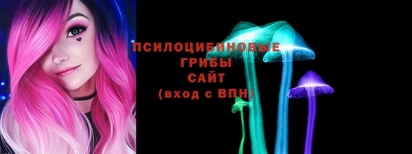 индика Арсеньев