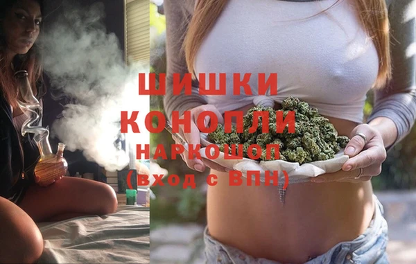 индика Арсеньев