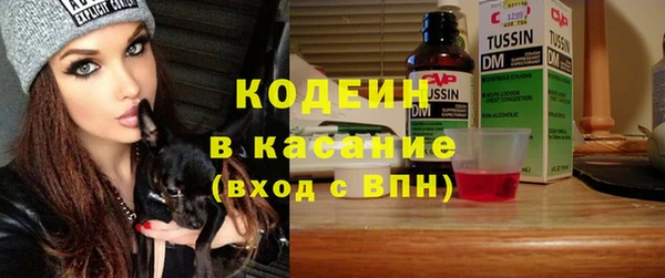 индика Арсеньев