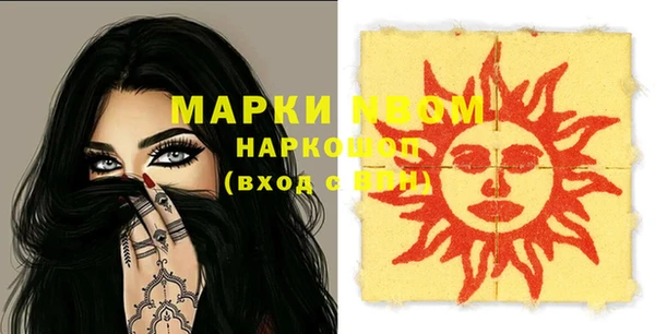 индика Арсеньев