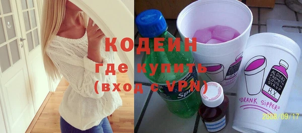 индика Арсеньев