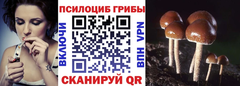 Галлюциногенные грибы MAGIC MUSHROOMS  МЕГА как войти  маркетплейс какой сайт  Белозерск 