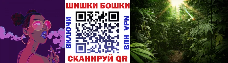 продажа наркотиков  Белозерск  Бошки Шишки White Widow 